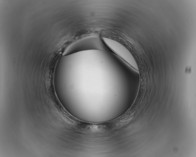 X0000089940558200707271820