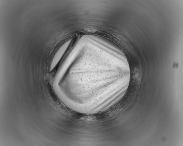 X0000089940559200707271820