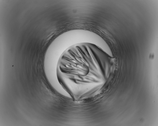 X0000089940560200707271820