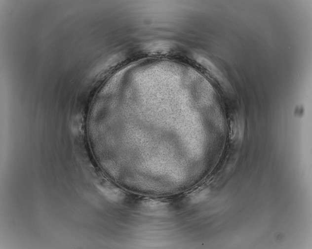 X0000089940561200707271820