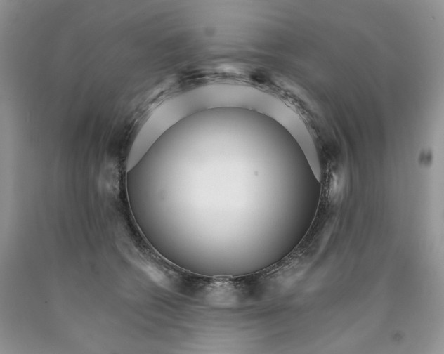 X0000089940562200707271820