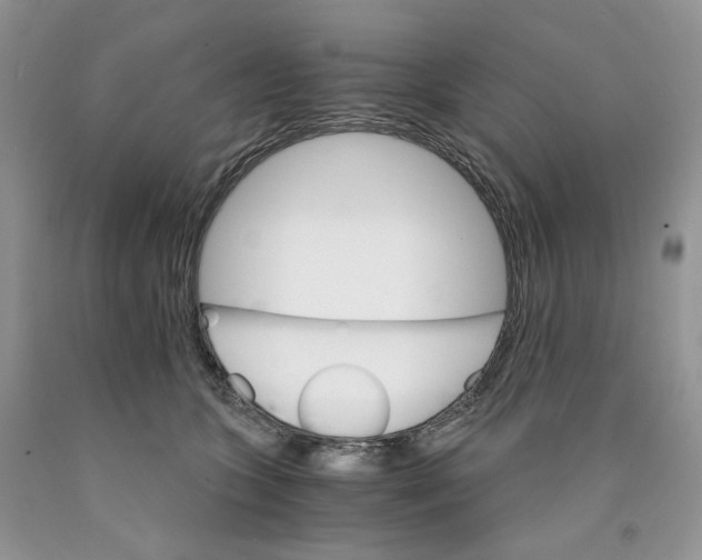 X0000089940563200707271821