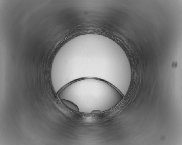 X0000089940564200707271821