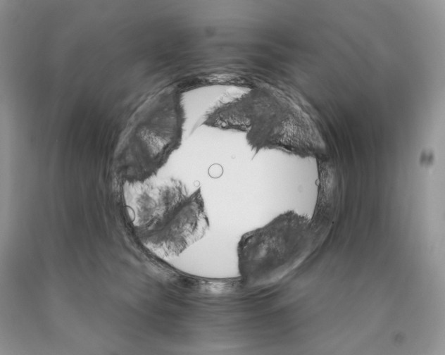 X0000089940565200707271821