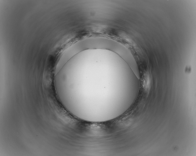 X0000089940566200707271821