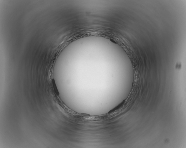 X0000089940568200707271821