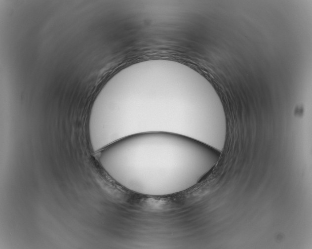 X0000089940570200707271821