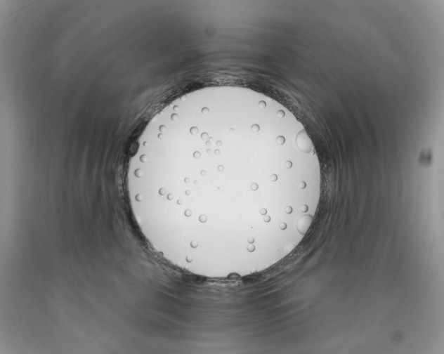 X0000089940571200707271821