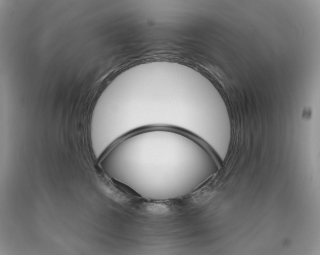 X0000089940572200707271821