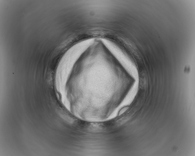 X0000089940573200707271821