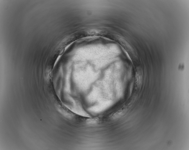 X0000089940574200707271821