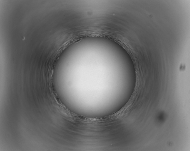 X0000089940576200707271821