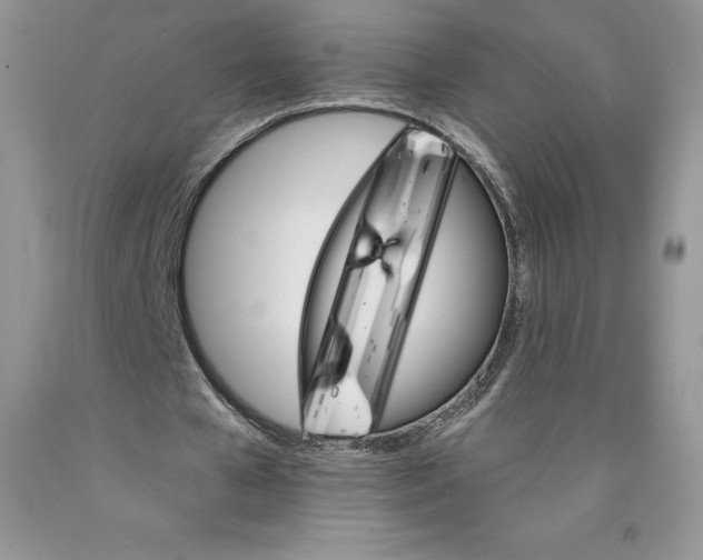 X0000089940577200707271820