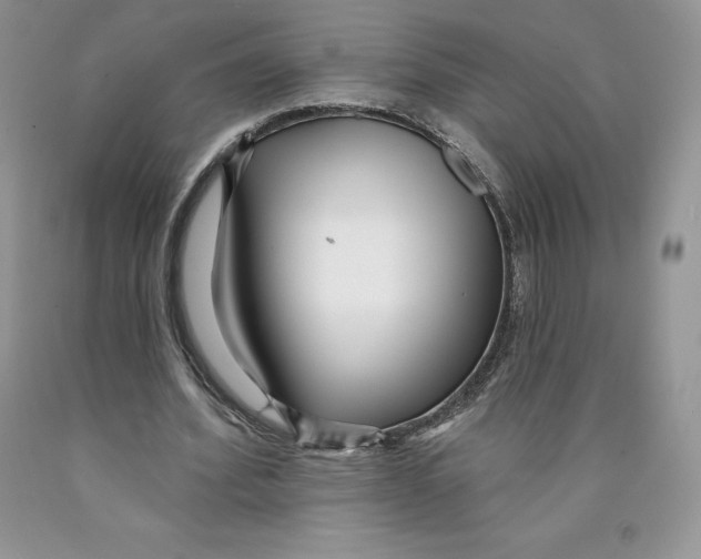 X0000089940580200707271820