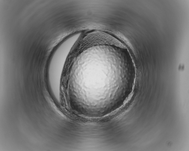 X0000089940581200707271820