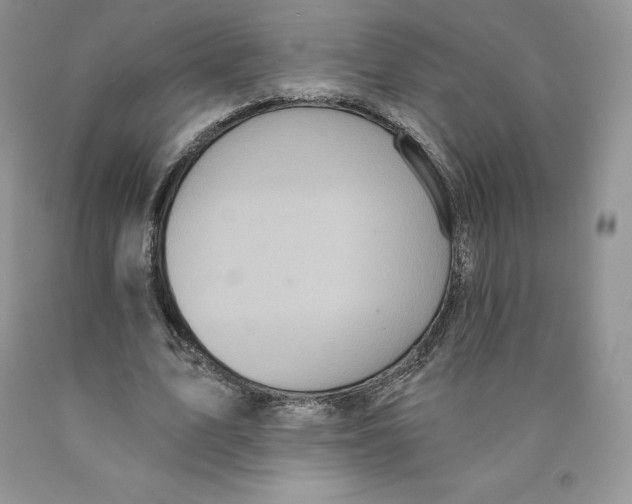 X0000089940583200707271820