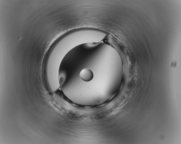 X0000089940584200707271820
