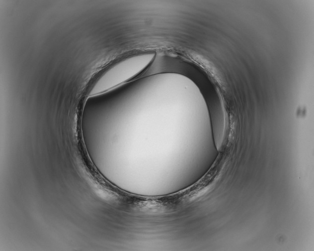 X0000089940589200707271820