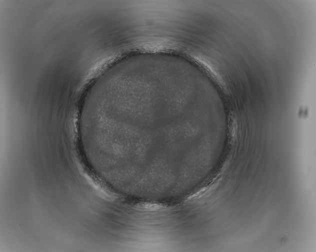 X0000089940590200707271820