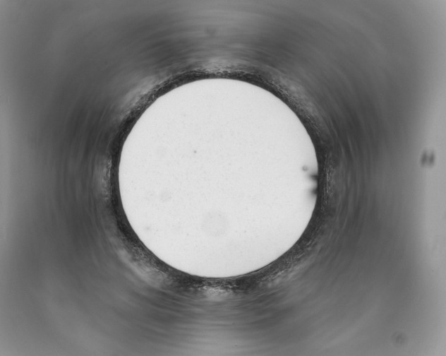 X0000089940592200707271820
