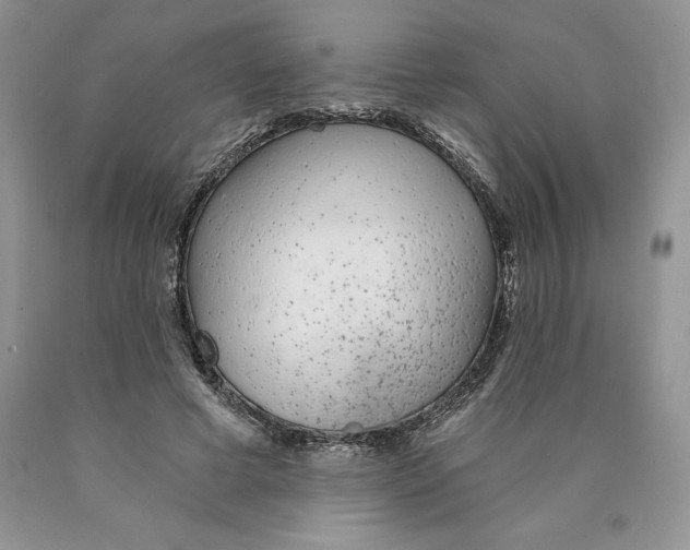 X0000089940593200707271820