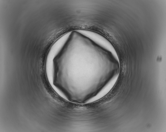 X0000089940594200707271820
