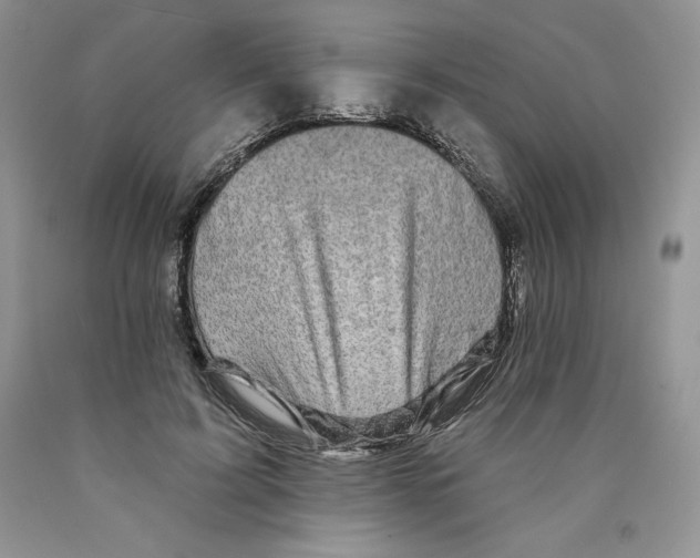 X0000089940595200707271820