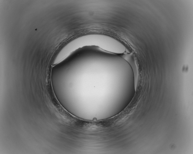 X0000089940597200707271820