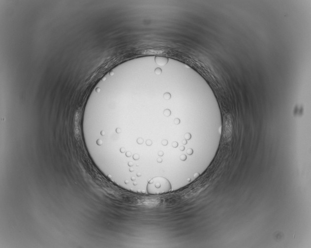 X0000089940598200707271820