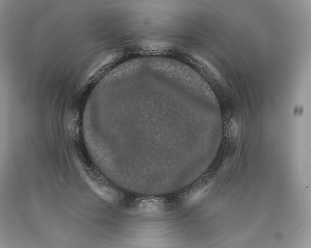 X0000089940599200707271820