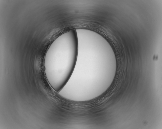 X0000089940600200707271820