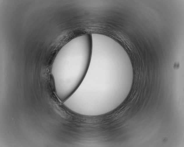 X0000089940601200707271820