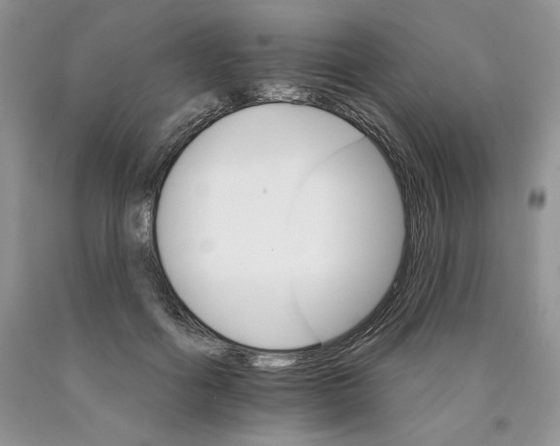 X0000089940602200707271820