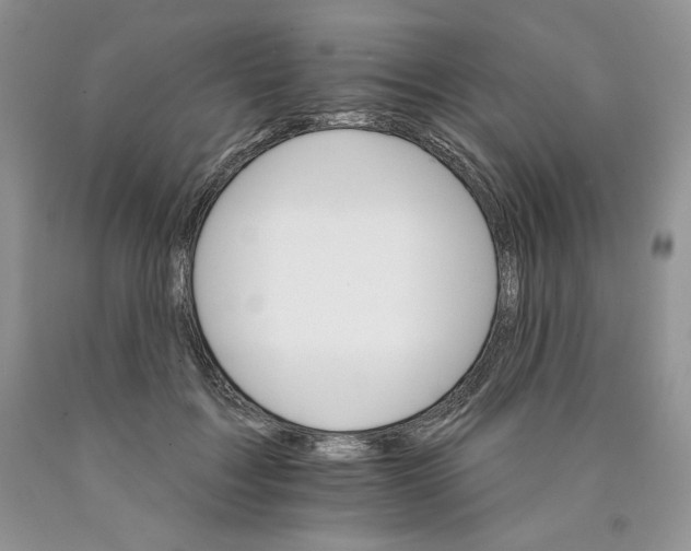 X0000089940603200707271820