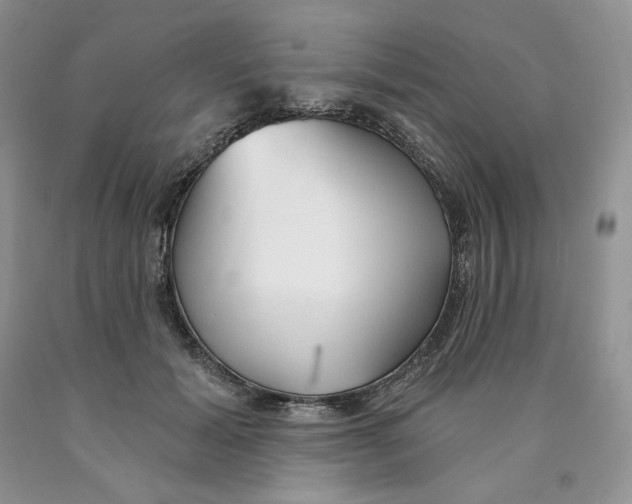 X0000089940605200707271820