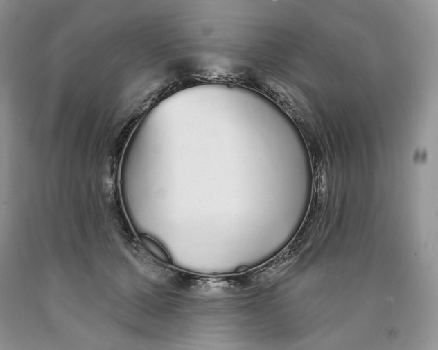 X0000089940607200707271820