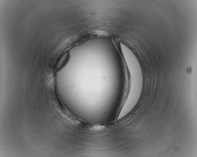 X0000089940609200707271820