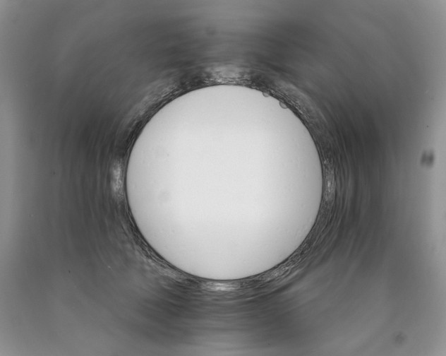 X0000089940610200707271820