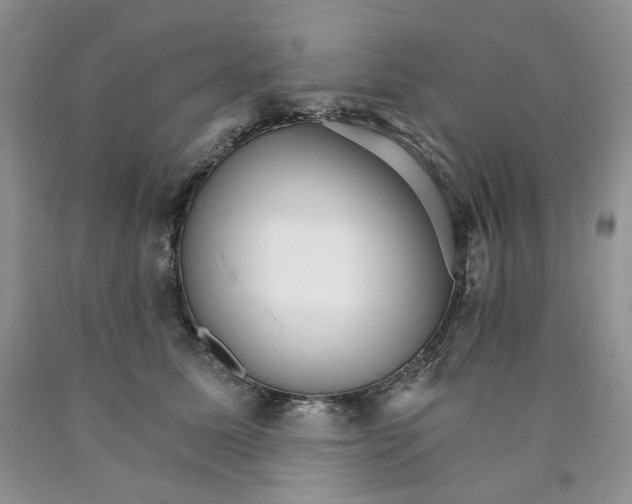X0000089940611200707271820
