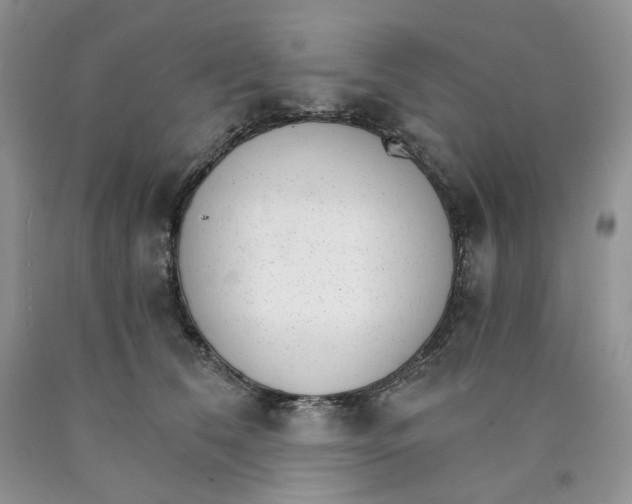 X0000089940612200707271820