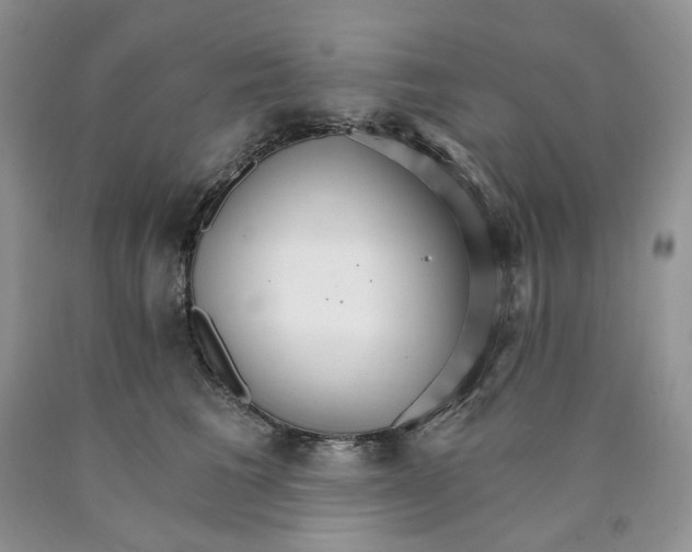 X0000089940613200707271820