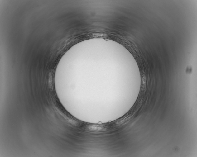X0000089940614200707271820