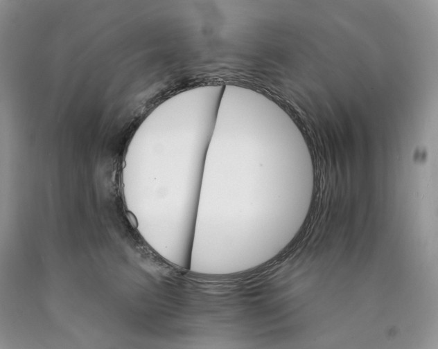 X0000089940615200707271820