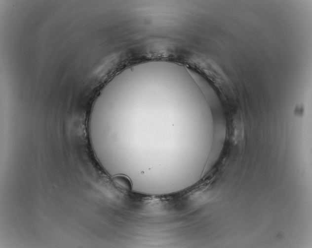 X0000089940616200707271820