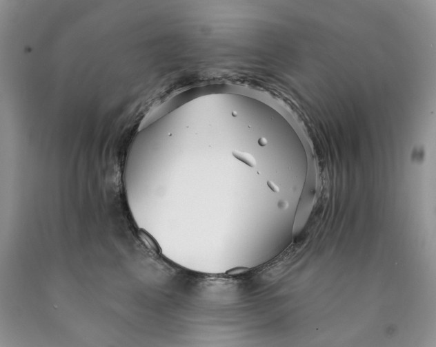 X0000089940617200707271819
