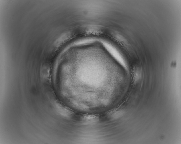 X0000089940619200707271819