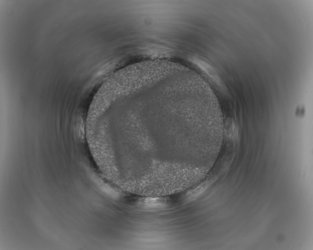 X0000089940622200707271819