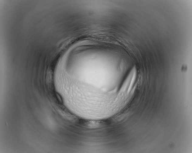 X0000089940623200707271819