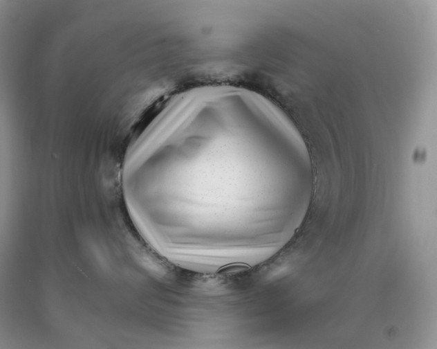 X0000089940624200707271819