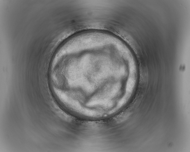 X0000089940625200707271819